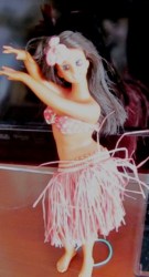hawaiin face_02